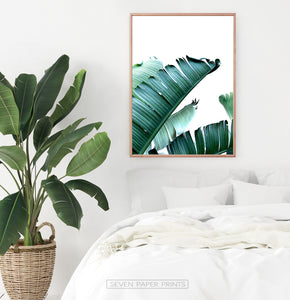 Green Banana Palm Leaf Bedroom Print