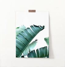 Load image into Gallery viewer, Green Banana Leaf Single Wall Art
