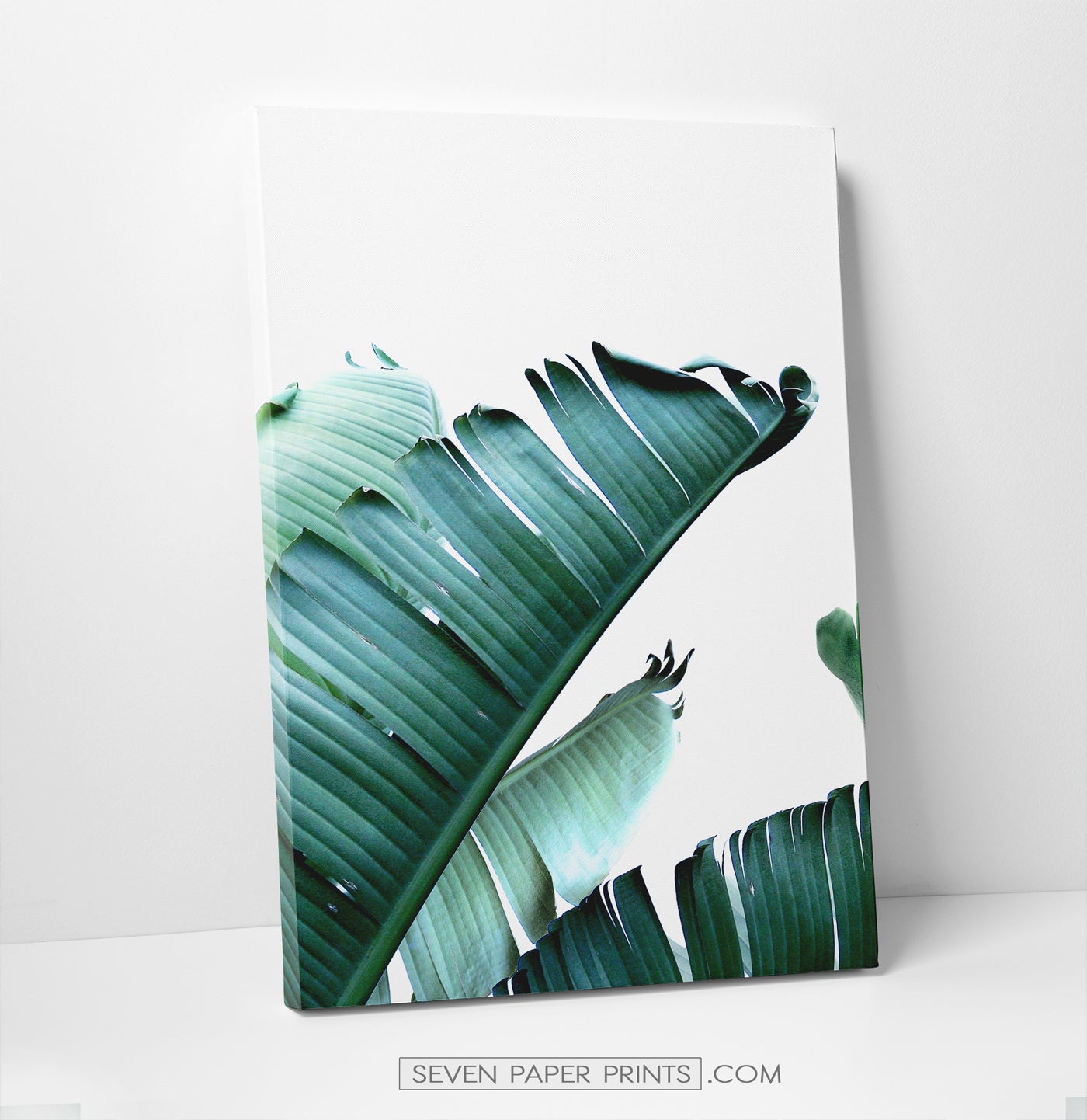 Tropical palm leaf canvas wall art set of 3 #148