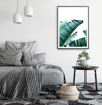 Green Banana Leaf Single Wall Art