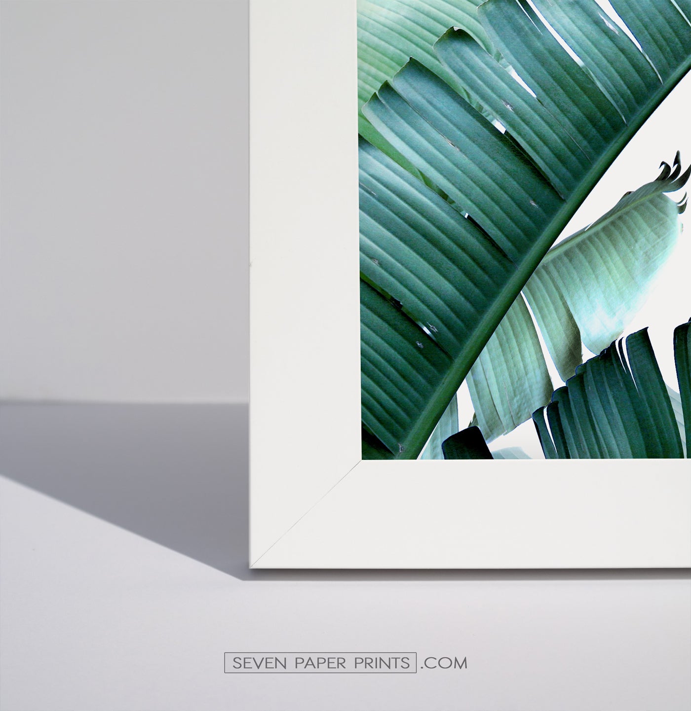 A corner of a white frame
