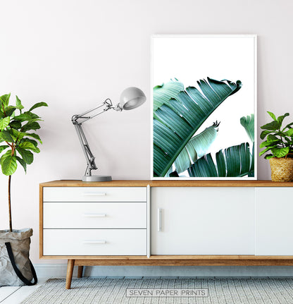 Living Room Wall Art Banana Leaf