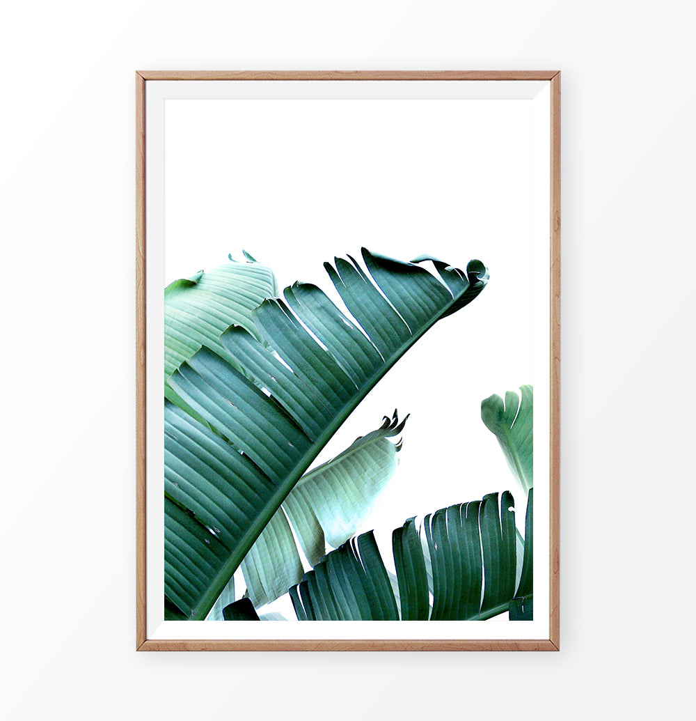 Green banana leaf print