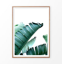 Load image into Gallery viewer, Green banana leaf print
