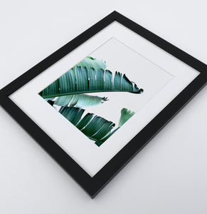 A framed photo print with banana leaves