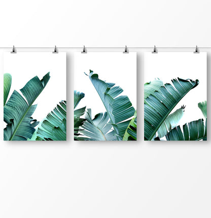 Banana leaf prints, Set of 3 Banana Wall Art, Green Banana Leaf