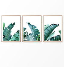 Load image into Gallery viewer, Banana Green Palm Leaf Wall Art Set of 3 Prints
