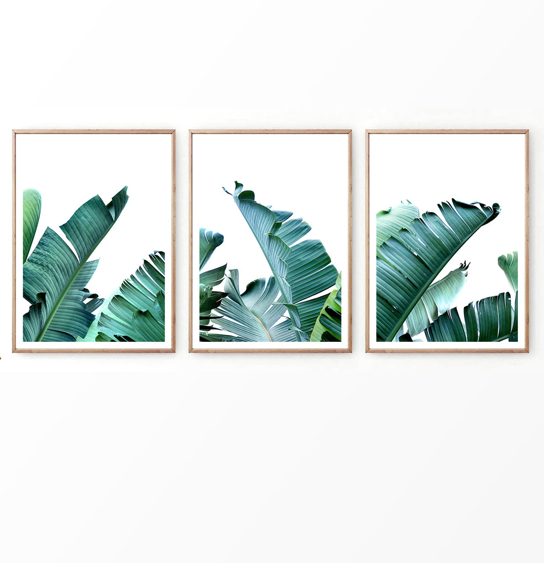 Banana Green Palm Leaf Wall Art Set of 3 Prints
