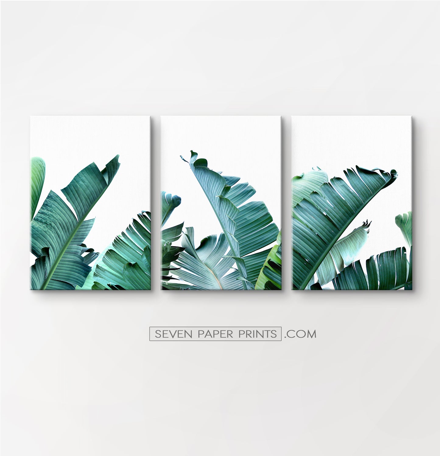 Tropical palm leaf canvas wall art set of 3 #148