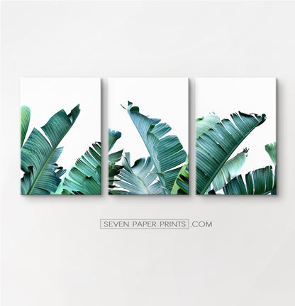 Tropical palm leaf canvas wall art set of 3 #148