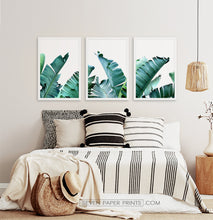 Load image into Gallery viewer, Three framed photo prints with banana leaves
