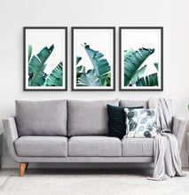 Load image into Gallery viewer, Three framed photo prints with banana leaves 2

