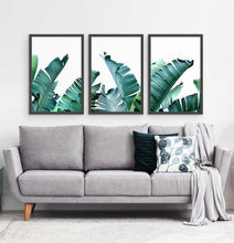 Load image into Gallery viewer, Three framed photo prints with banana leaves 3
