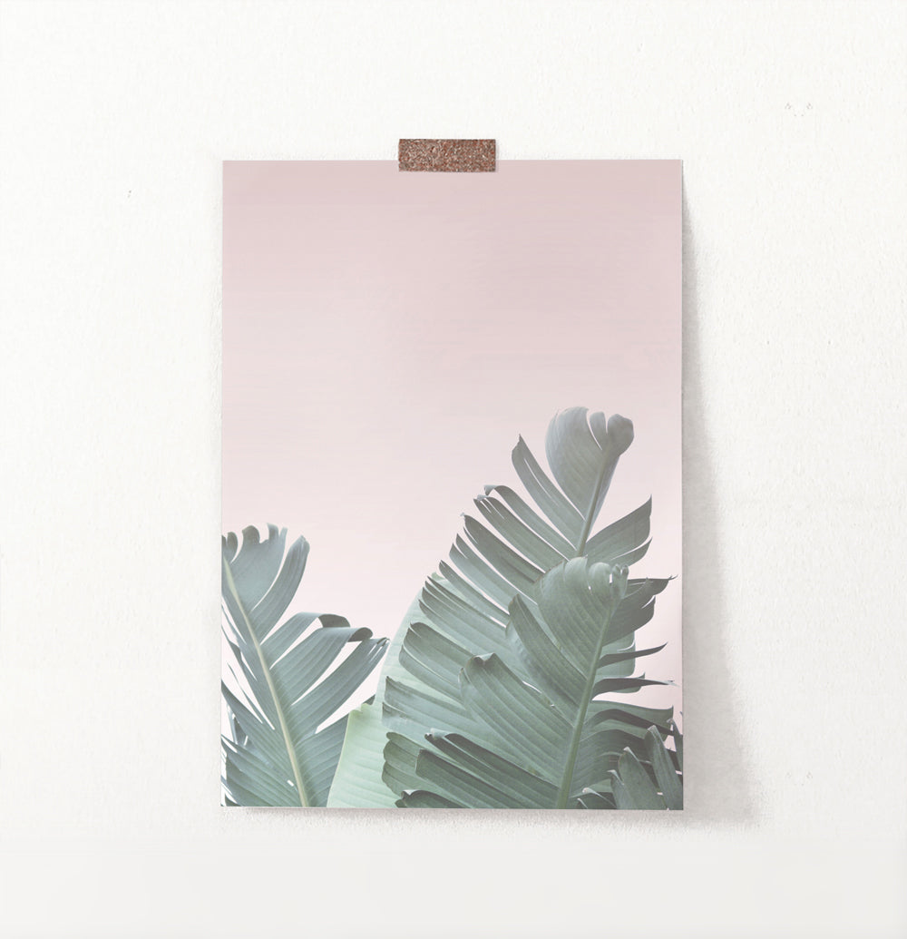 Tropical Leaves with Blush Pink Background