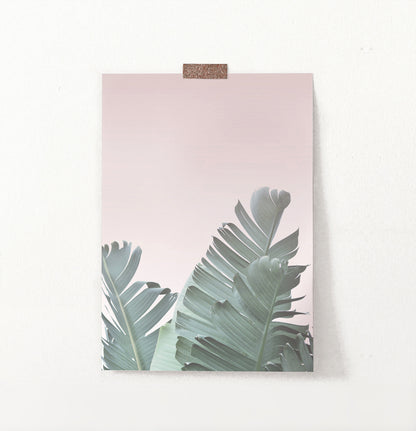 Tropical Leaves with Blush Pink Background