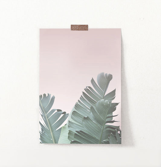 Tropical Leaves with Blush Pink Background