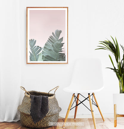 Tropical Leaves with Blush Pink Background