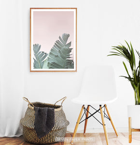 Tropical Leaves with Blush Pink Background