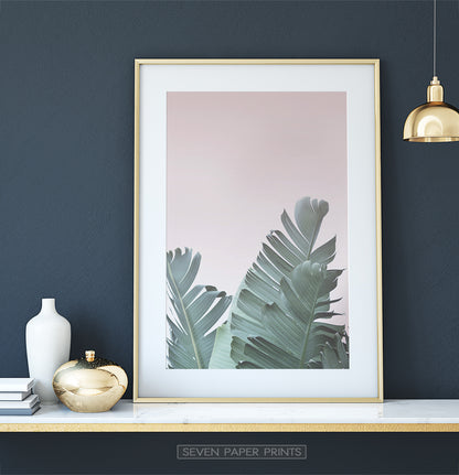 Neutral Color Tropical Banana Leaf Print on Dark Wall