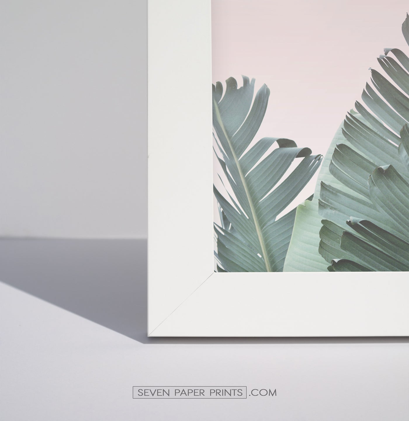 Corner of a white frame