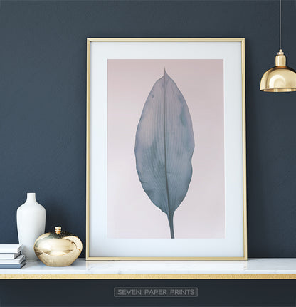 Minimalist Leaf on Pink for Dark Walls
