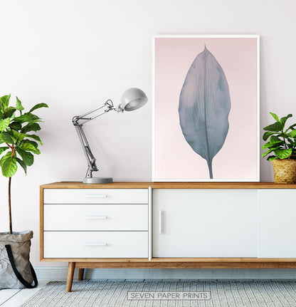 Isolated Leaf Print for Minimalist Interiors
