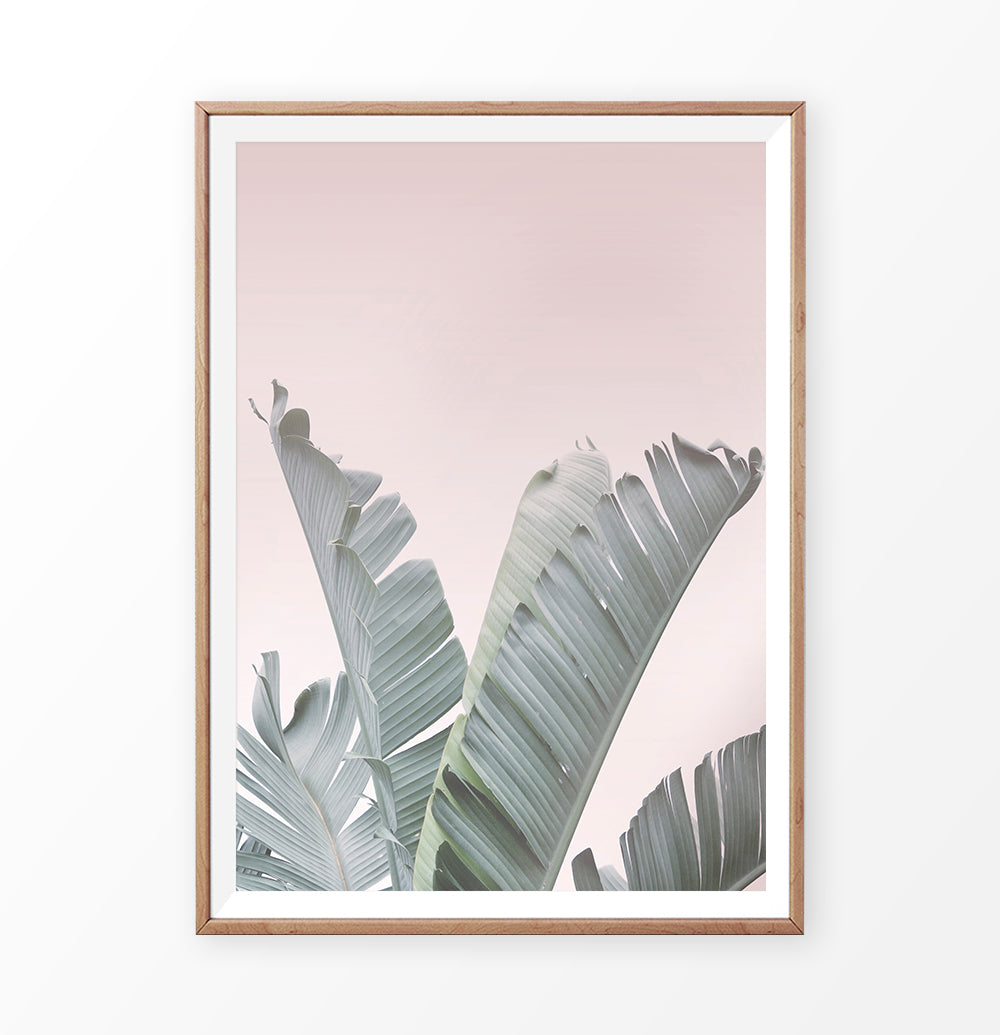 Tropical Plant Leaf Wall Art