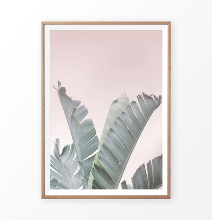 Tropical Plant Leaf Wall Art
