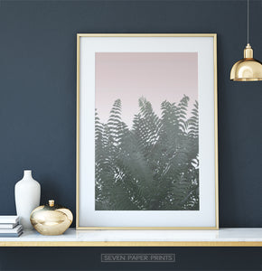 Palm Tree Leaves on Pink for Dark Walls