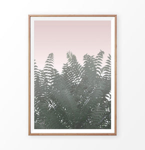 Green tropical plant faded pink photography