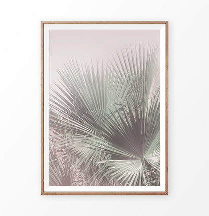 Single Palm Leaves Print
