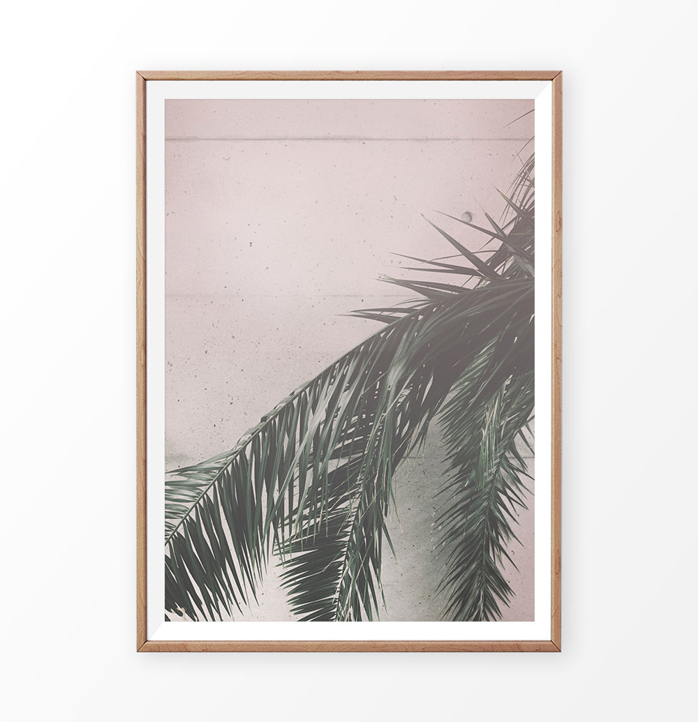 Palm on the pink wall. Retro tropical photograph