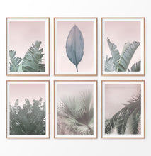 Load image into Gallery viewer, Pink leaves prints, 6 piece wall decor. Banana Leaf, Palm Tree

