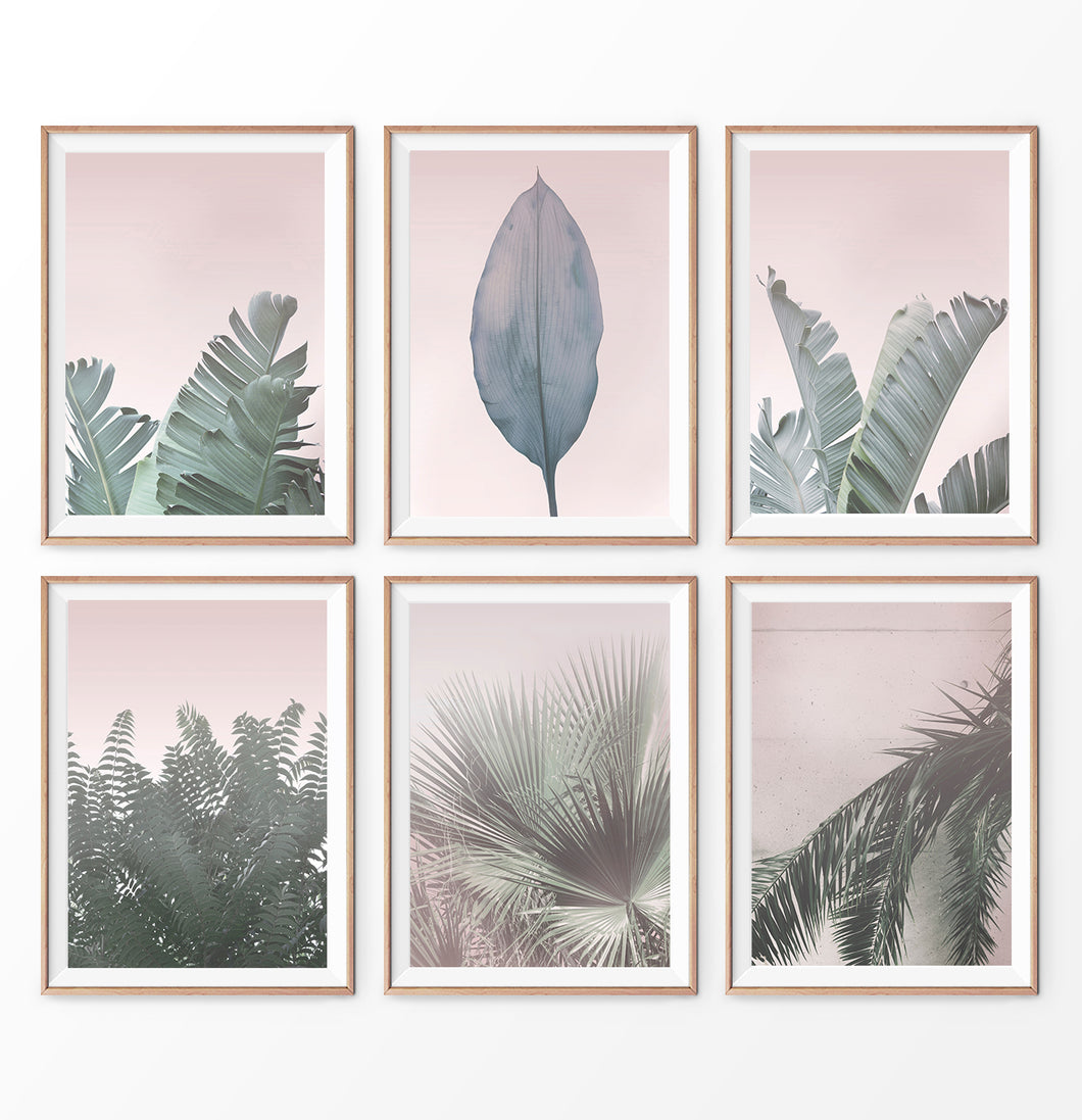 Pink leaves prints, 6 piece wall decor. Banana Leaf, Palm Tree