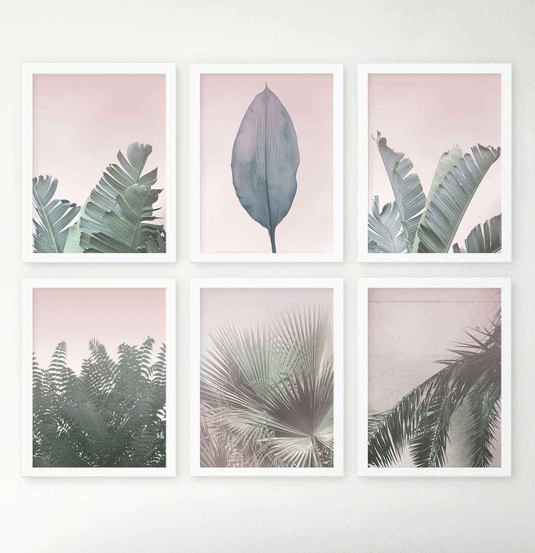 Coastal Palms And Plants On Pink Background Set Of 6 Framed Wall Art