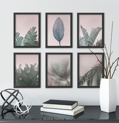 Black-framed Set Of 6 Above a Black Shelf
