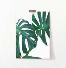 Load image into Gallery viewer, Monstera Leaf Photography Print
