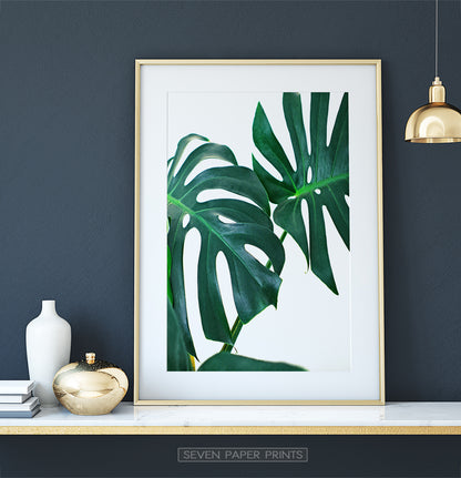 Dark Wall Tropical Plant Leaf Decor