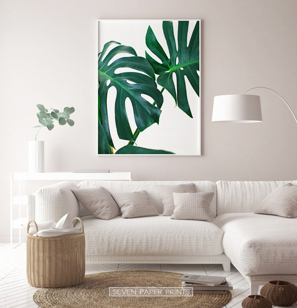 Monstera Print for White Living Room