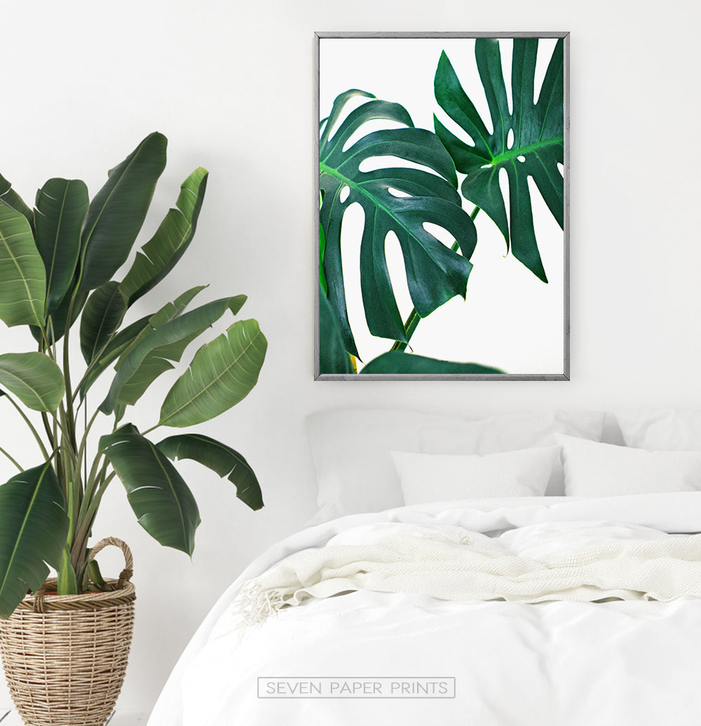 Monstera Leaf Photography Print
