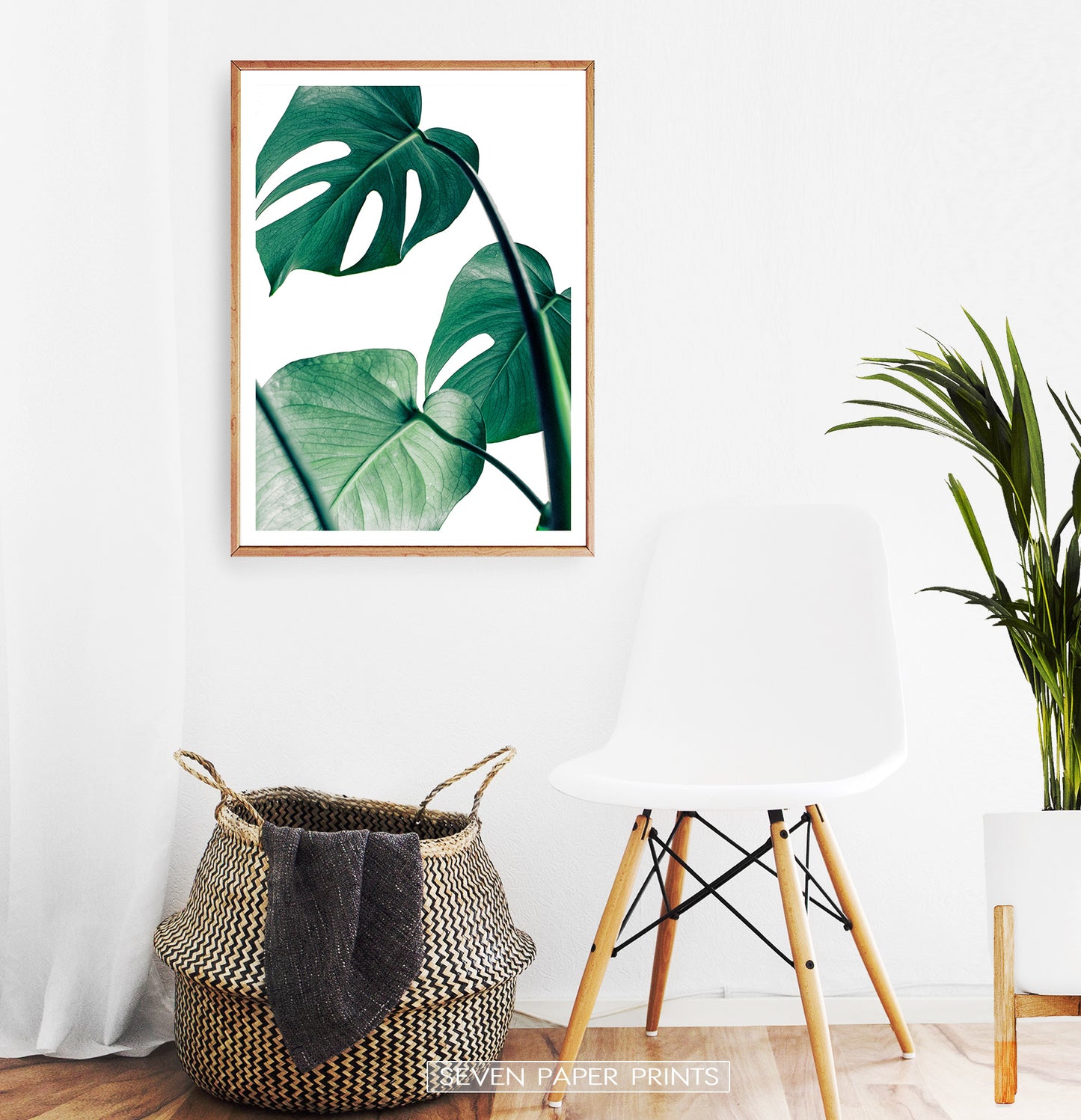 Tropical Monstera Leaf Photo Print