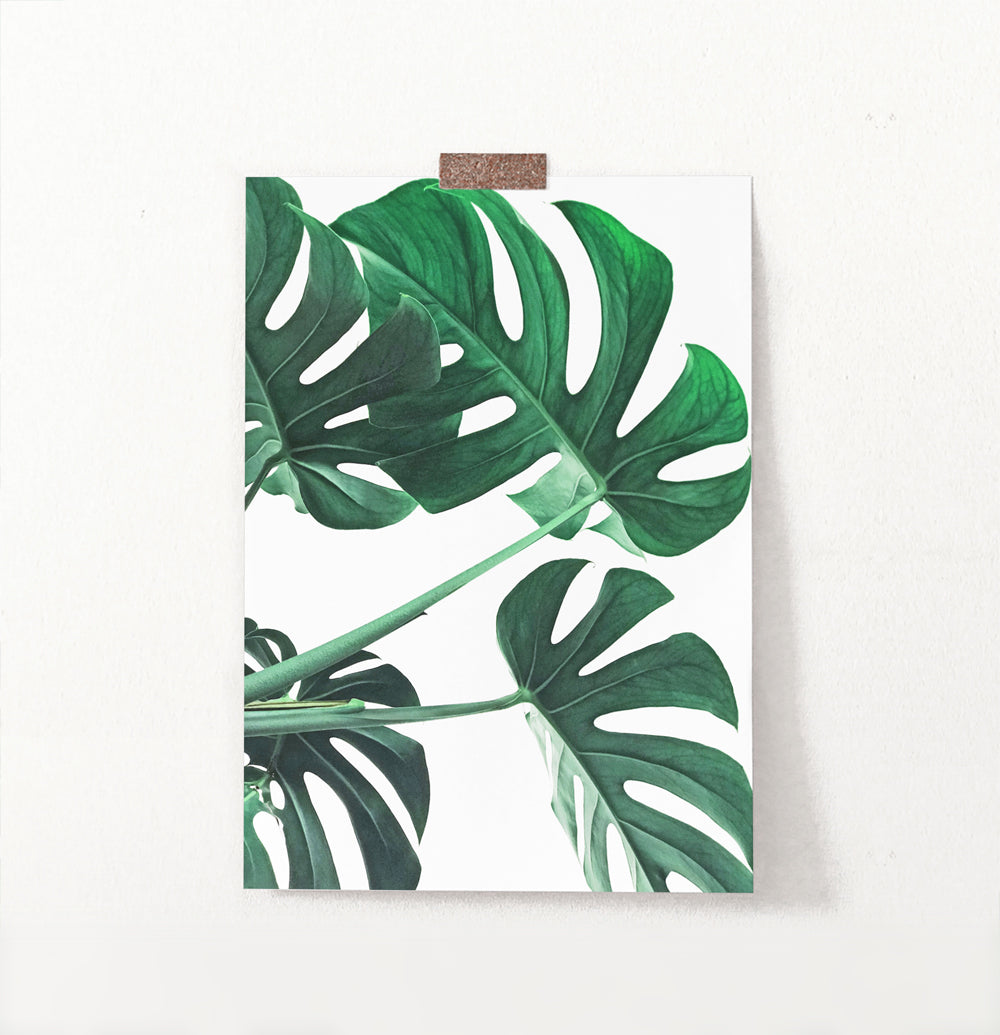 Realistic Monstera Leaf Wall Decor