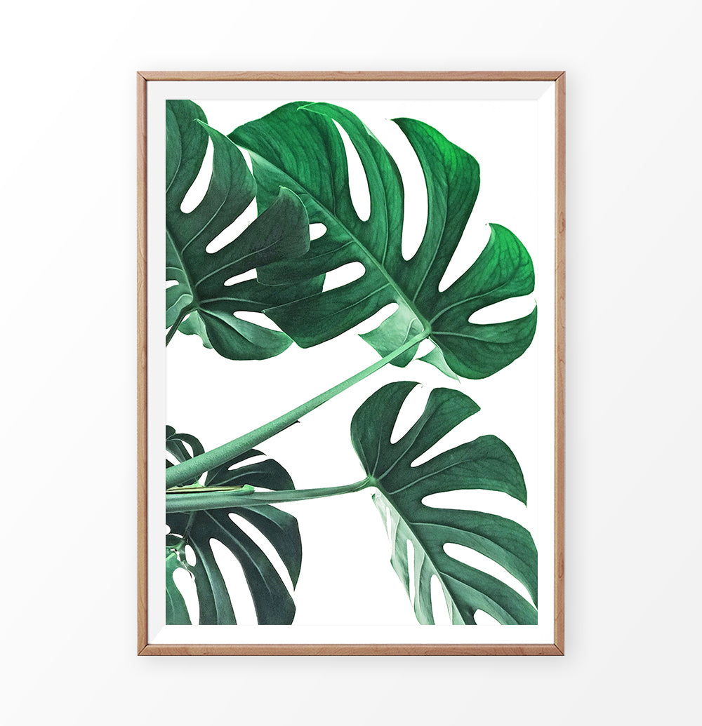 Monstera Print. Green Palm Leaf Wall Art