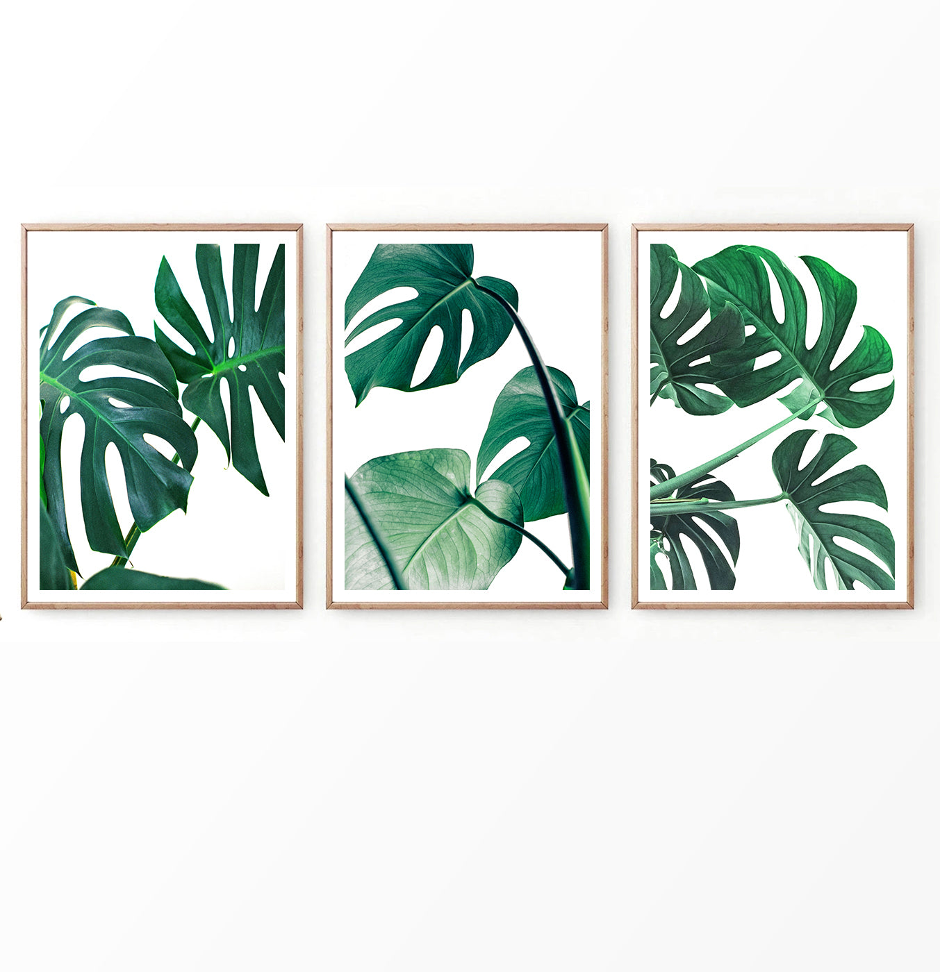 monstera deliciosa wall art set of 3. Palm Leaves Decor