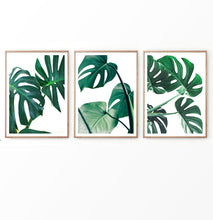 Load image into Gallery viewer, monstera deliciosa wall art set of 3. Palm Leaves Decor
