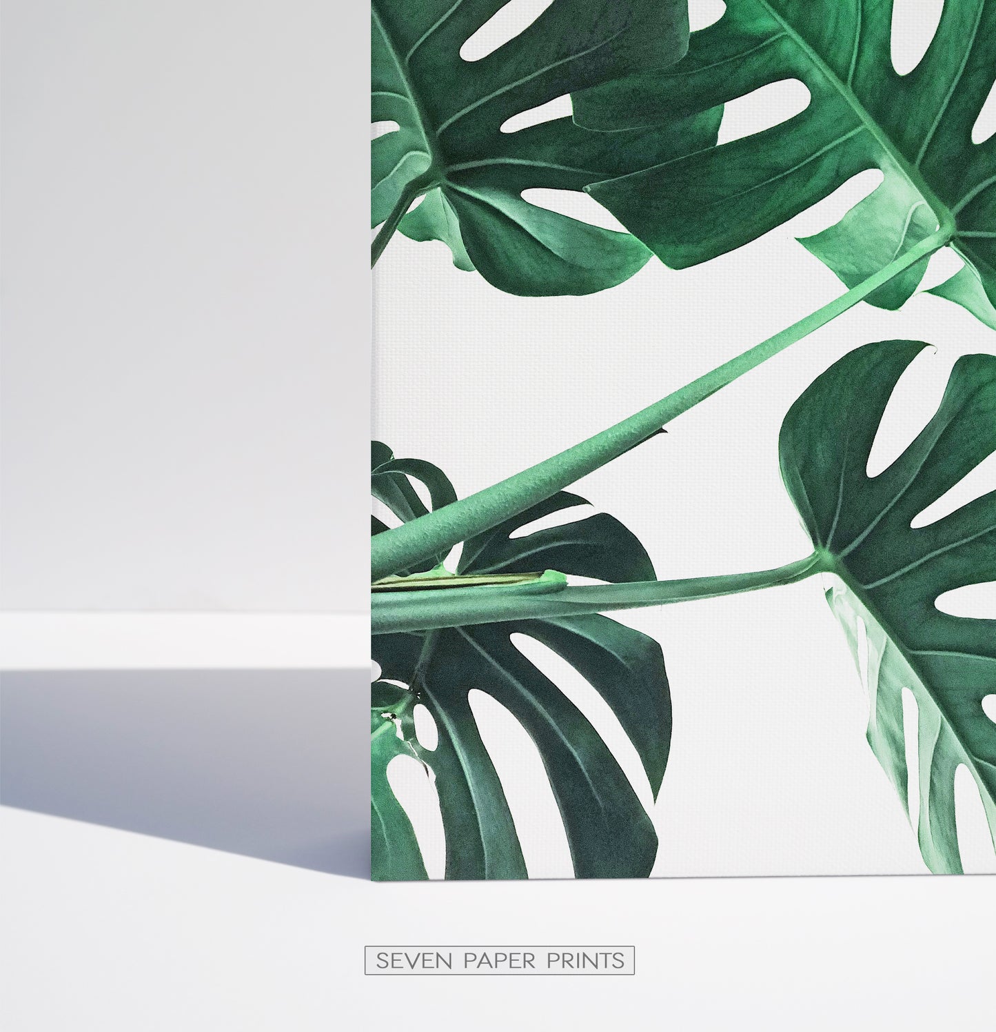 Monstera Leaves. Set of 3 Canvas Prints