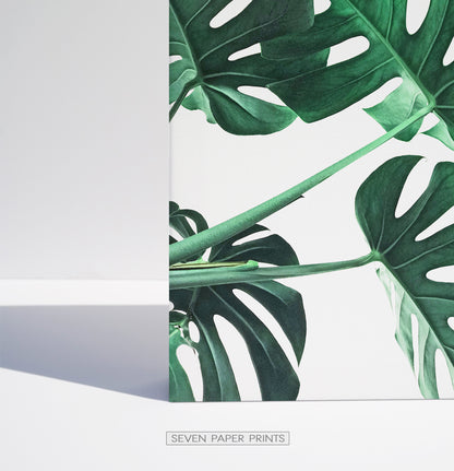 Monstera Leaves. Set of 3 Canvas Prints