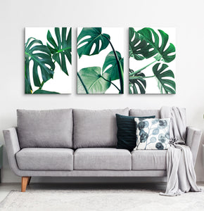 Canvas set of 3 monstera leaves prints for living room