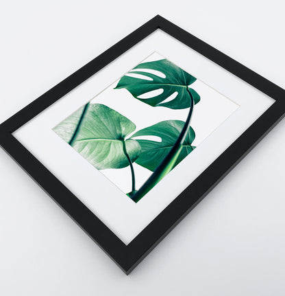 Monstera leaves framed wall art