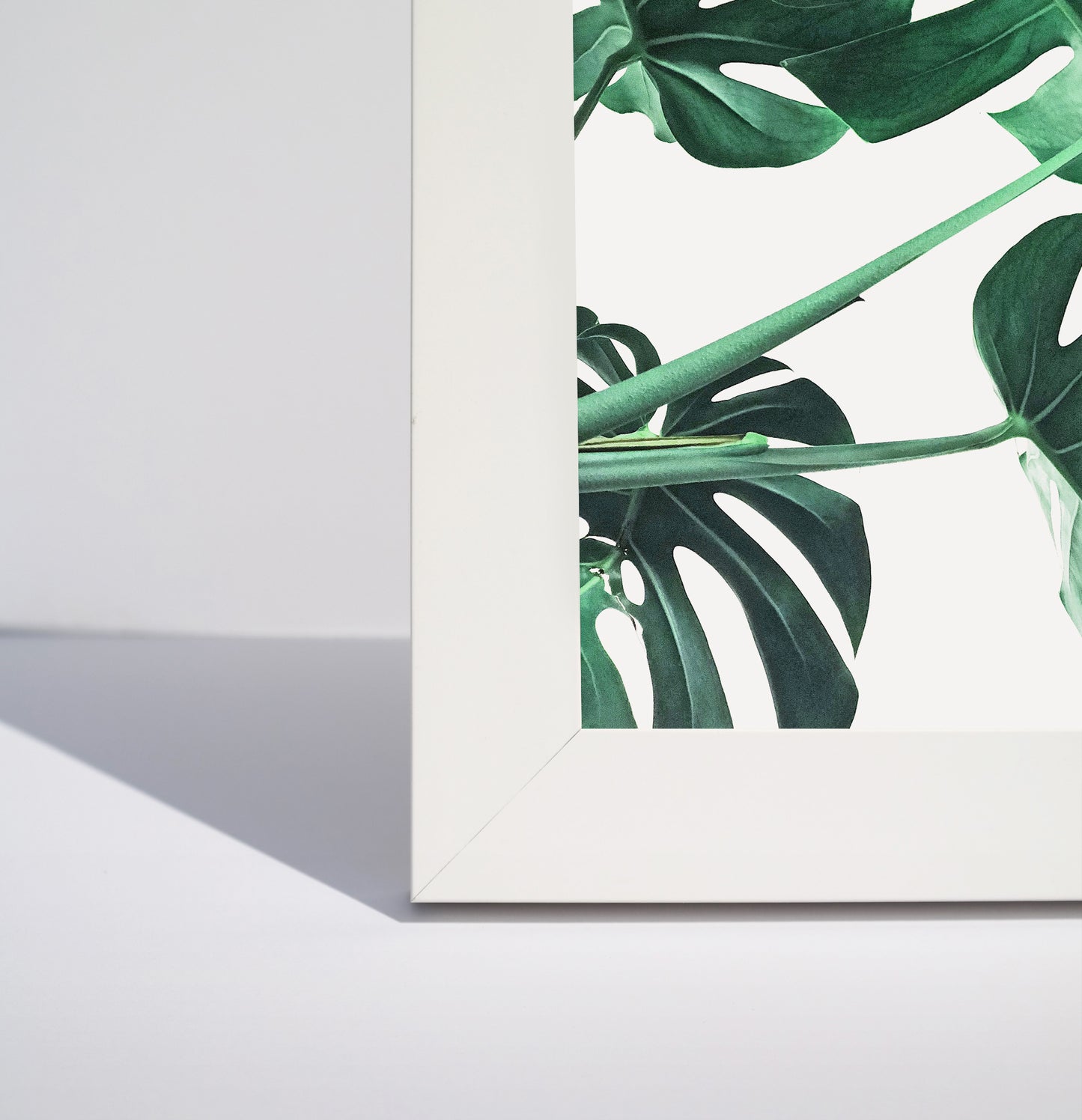 White color framed print